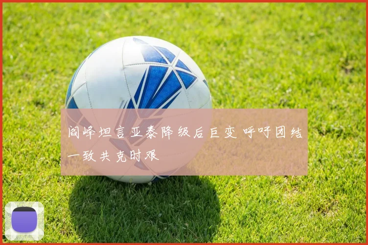 阎峰坦言亚泰降级后巨变 呼吁团结一致共克时艰
